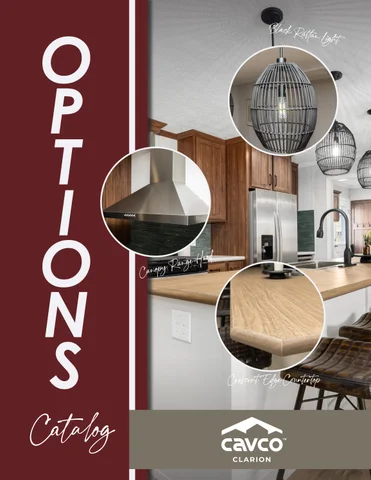 Options Guide