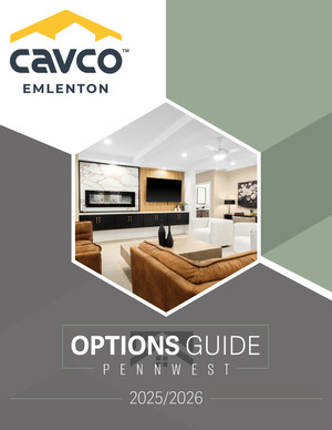 Options Guide