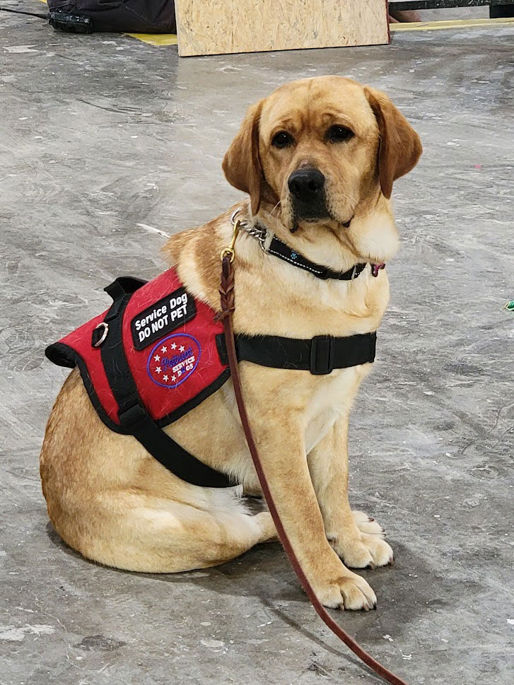 Athena, Patriot Service Dog | Chariot Eagle Manufactured Homes